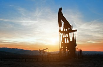 Bonelo oil